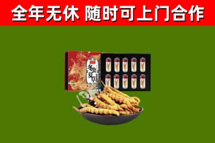 芒康县回收冬虫夏草价格